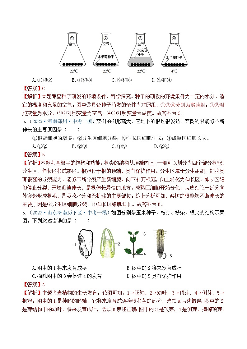 专题03 生物圈中的绿色植物（解析版）第2页