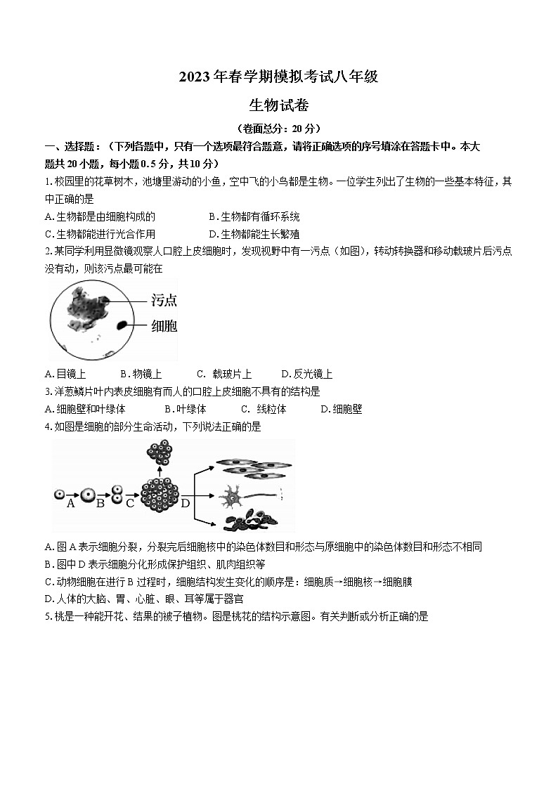 2023年江苏省盐城市射阳县八年级中考一模生物试题（含答案）01