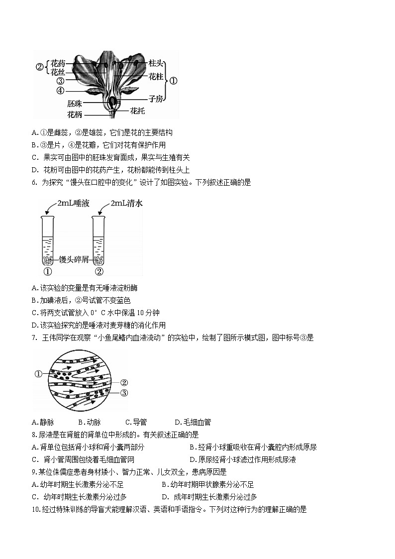 2023年江苏省盐城市射阳县八年级中考一模生物试题（含答案）02