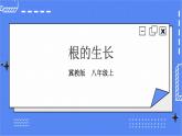 冀教版生物八上3.2.1《根的生长》课件+教案+练习