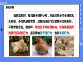 冀教版生物八上4.2.3先天性行为和学习行为  课件+教案+练习+素材