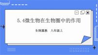 生物八年级上册第四章  微生物在生物圈中的作用获奖课件ppt