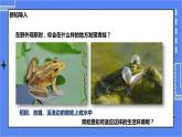 冀少版生物 七上4.7 两栖类和爬行类  课件+教案+练习+素材