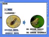 冀少版生物 七上4.7 两栖类和爬行类  课件+教案+练习+素材