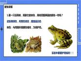 冀少版生物 七上4.7 两栖类和爬行类  课件+教案+练习+素材