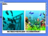 冀少版生物七上4.6鱼类  课件+教案+练习+素材