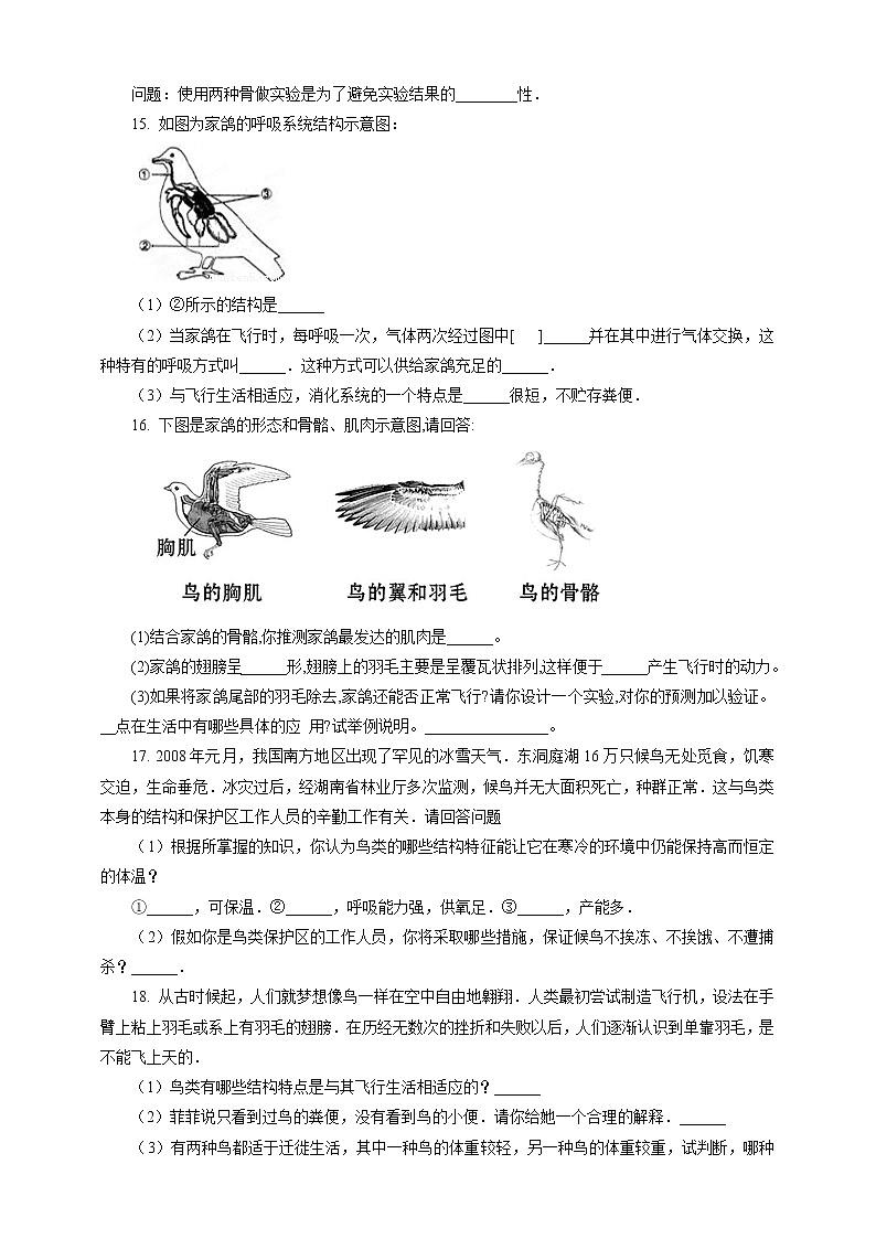 冀少版生物七上4.8鸟类  课件+教案+练习+素材03