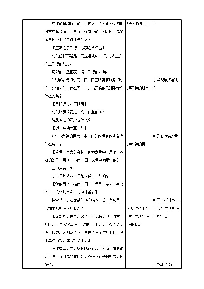 冀少版生物七上4.8鸟类  课件+教案+练习+素材02