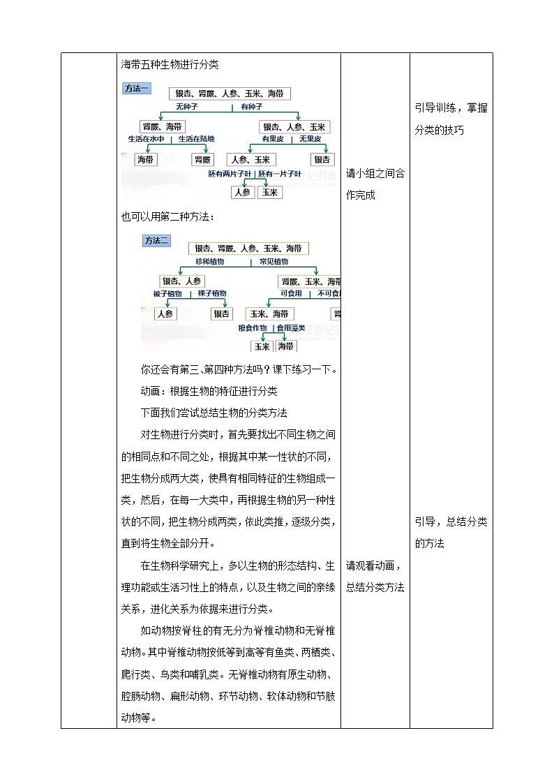 冀少版生物七上5.1尝试对生物进行分类 课件+教案+练习+素材03