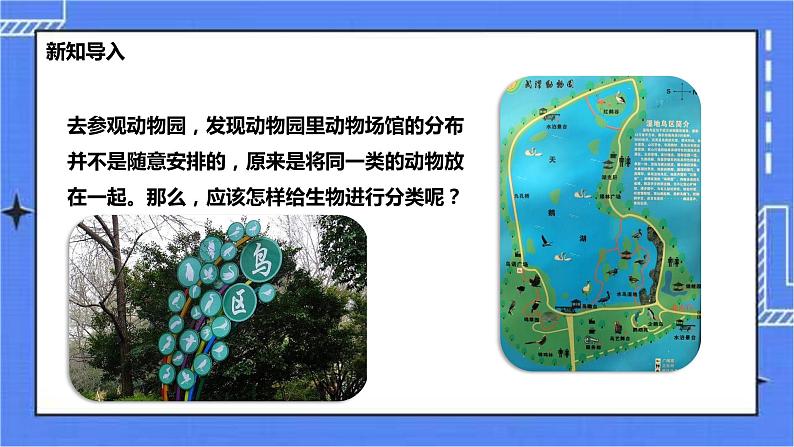 冀少版生物七上5.1尝试对生物进行分类 课件+教案+练习+素材02
