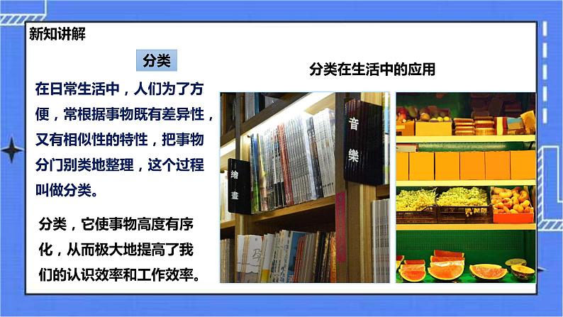 冀少版生物七上5.1尝试对生物进行分类 课件+教案+练习+素材04