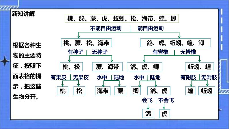 冀少版生物七上5.1尝试对生物进行分类 课件+教案+练习+素材07