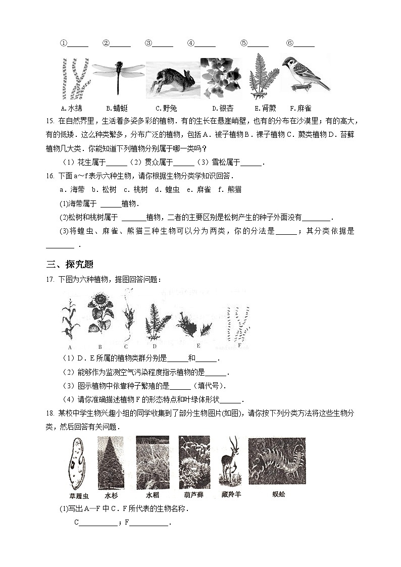 冀少版生物七上5.1尝试对生物进行分类 课件+教案+练习+素材03