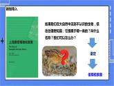 冀少版生物七上5.2练习对生物进行鉴别  课件+教案+练习+素材