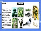 冀少版生物七上5.2练习对生物进行鉴别  课件+教案+练习+素材