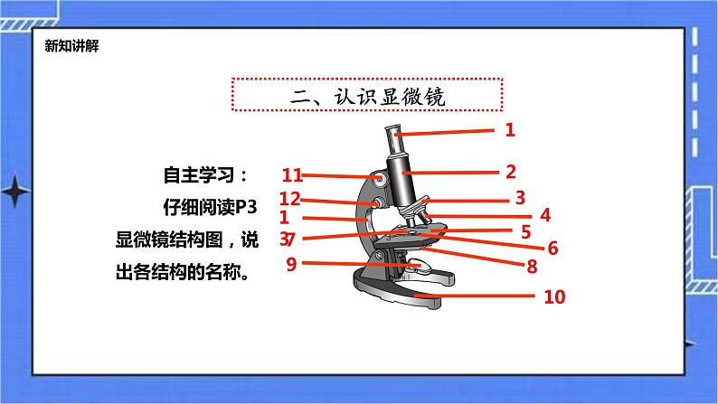 冀教版生物七上1.1 走进生物实验室 课件+教案+练习05