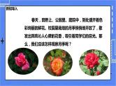 冀教版生物七上1.2《学会观察》  课件+教案+练习