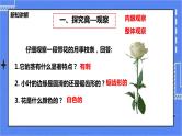 冀教版生物七上1.2《学会观察》  课件+教案+练习