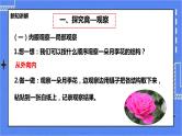 冀教版生物七上1.2《学会观察》  课件+教案+练习