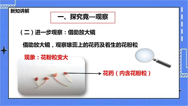 冀教版生物七上1.2《学会观察》 课件第6页