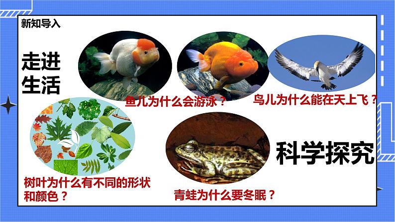 冀教版生物七上1.4《学习探究》 课件+教案+练习02