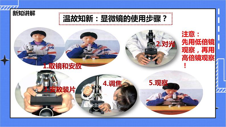 冀教版生物七上2.1 细胞 第1课时  课件+教案+练习05