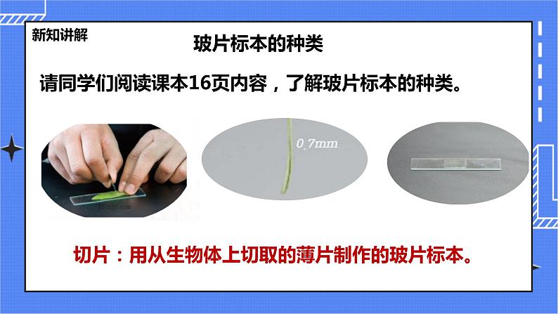 冀教版生物七上2.1 细胞 第1课时  课件+教案+练习06