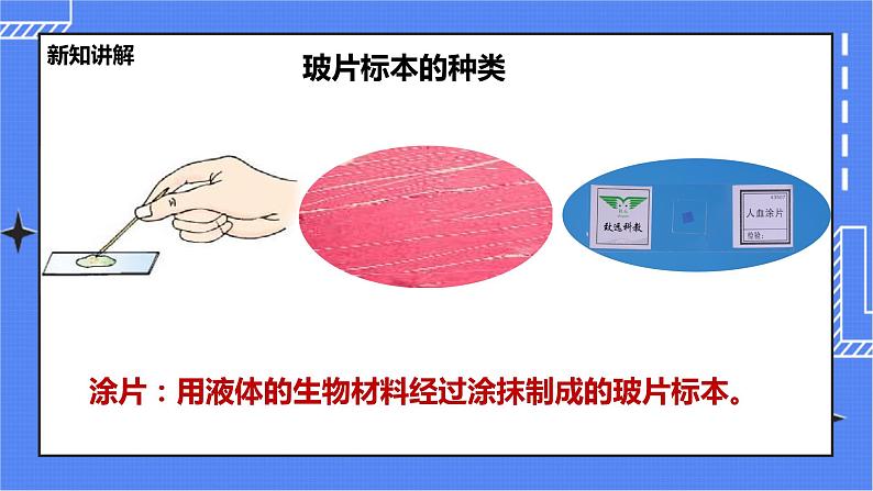 冀教版生物七上2.1 细胞 第1课时  课件+教案+练习07