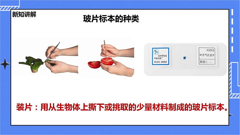 冀教版生物七上2.1 细胞 第1课时  课件+教案+练习08