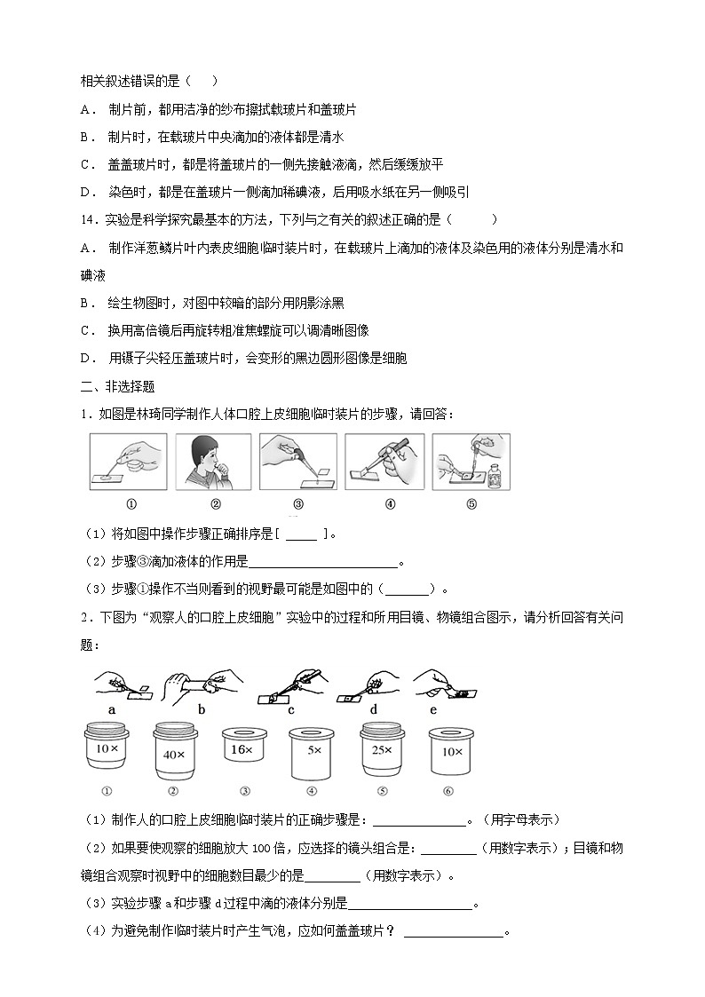 冀教版生物七上2.1 细胞 第1课时  课件+教案+练习03
