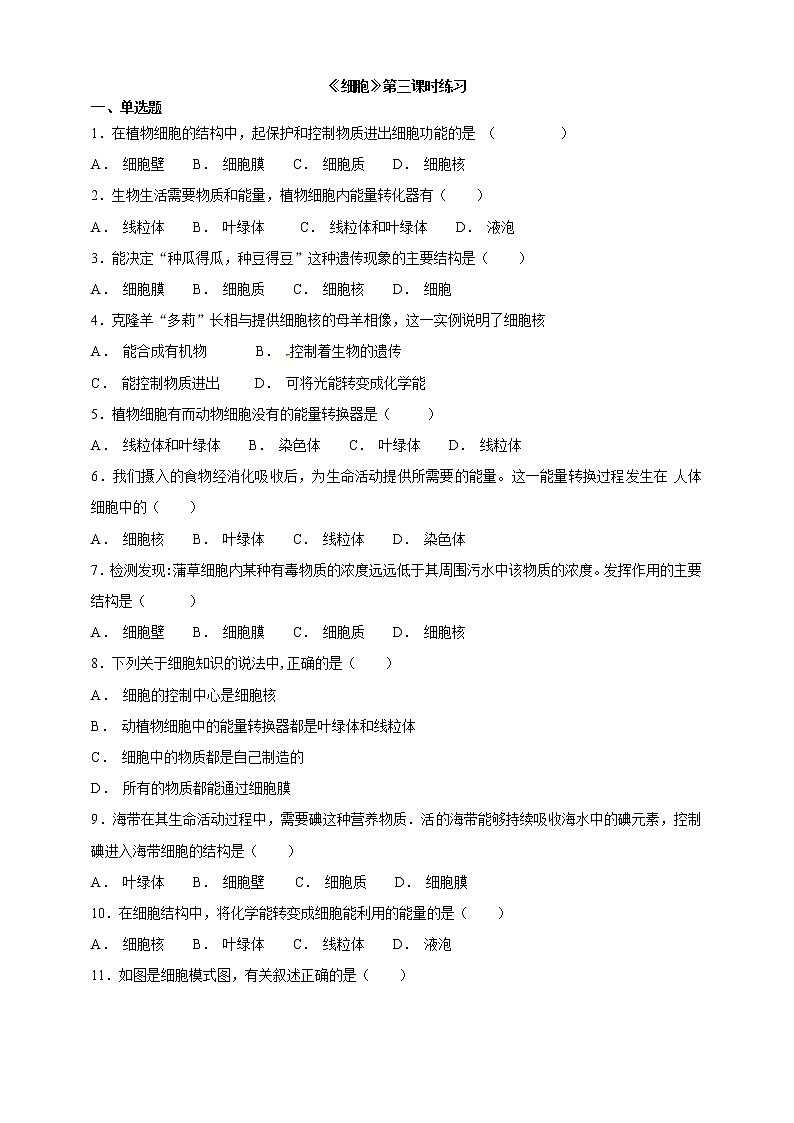冀教版生物七上2.1 细胞 第3课时课件+教案+练习01