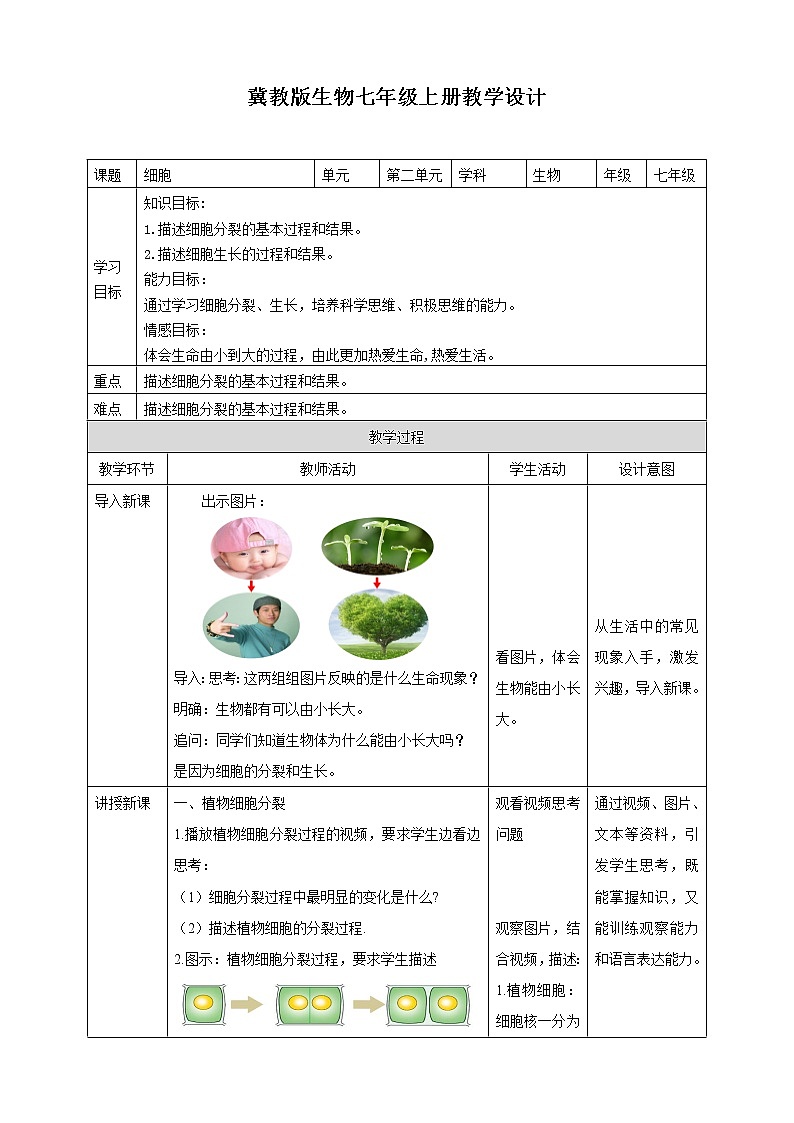 冀教版生物七上2.1细胞第4课时 课件+教案+练习+素材01