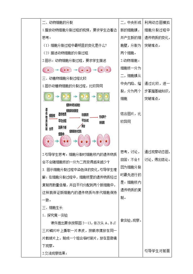 冀教版生物七上2.1细胞第4课时 课件+教案+练习+素材02