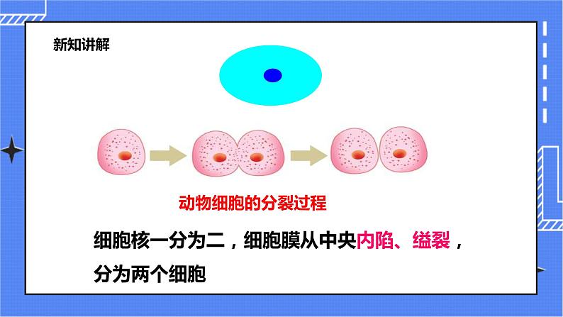 冀教版生物七上2.1细胞第4课时 课件+教案+练习+素材06