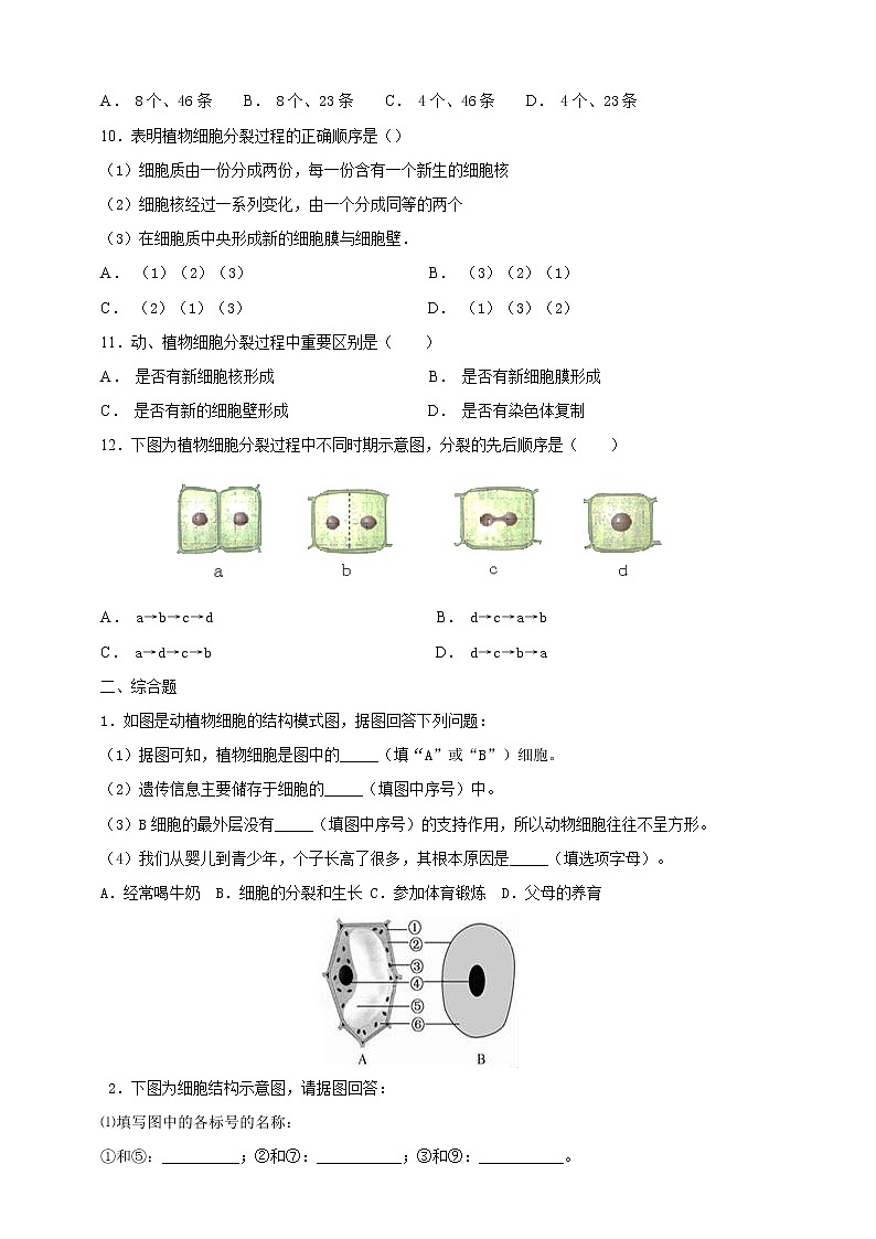 冀教版生物七上2.1细胞第4课时 课件+教案+练习+素材02