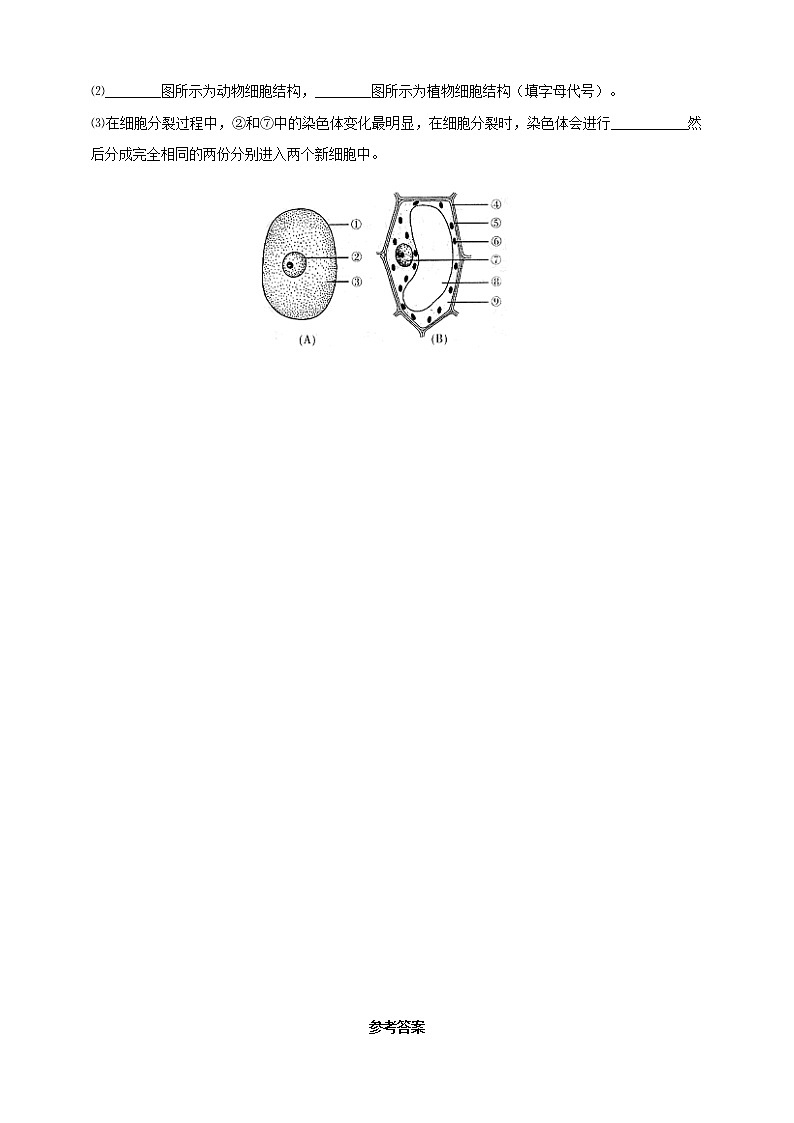 冀教版生物七上2.1细胞第4课时 课件+教案+练习+素材03