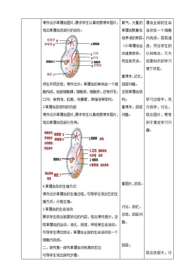 冀教版生物七上2.4单细胞生物  教案第2页