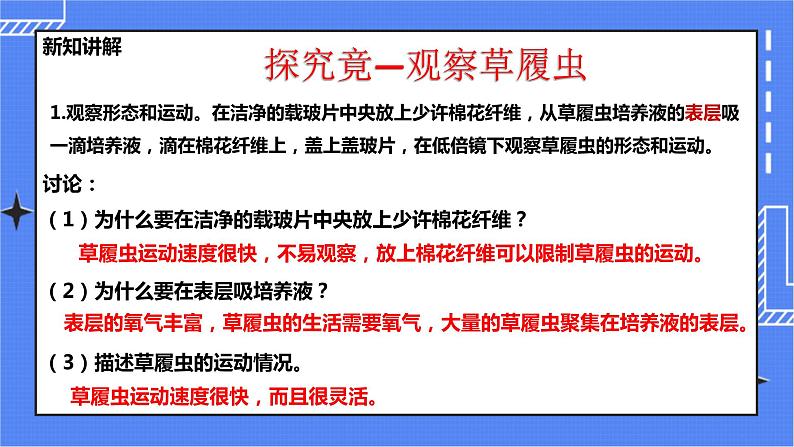 冀教版生物七上2.4单细胞生物 课件第4页