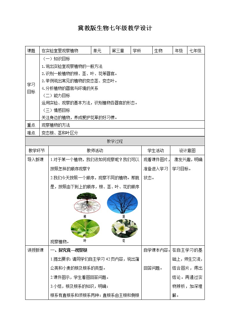 冀教版生物七上3.1 在实验室观察生物 课件+教案+练习+素材01