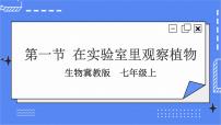 初中生物冀少版七年级上册第一节  在实验室里观察植物试讲课ppt课件