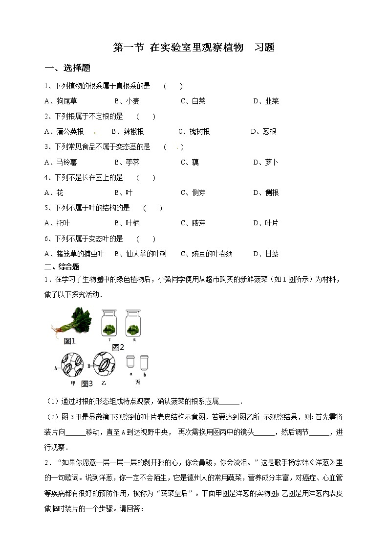 冀教版生物七上3.1 在实验室观察生物 课件+教案+练习+素材01