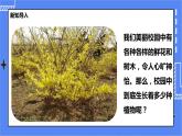 冀教版生物七上3.2 校园植物调查 课件+教案+练习