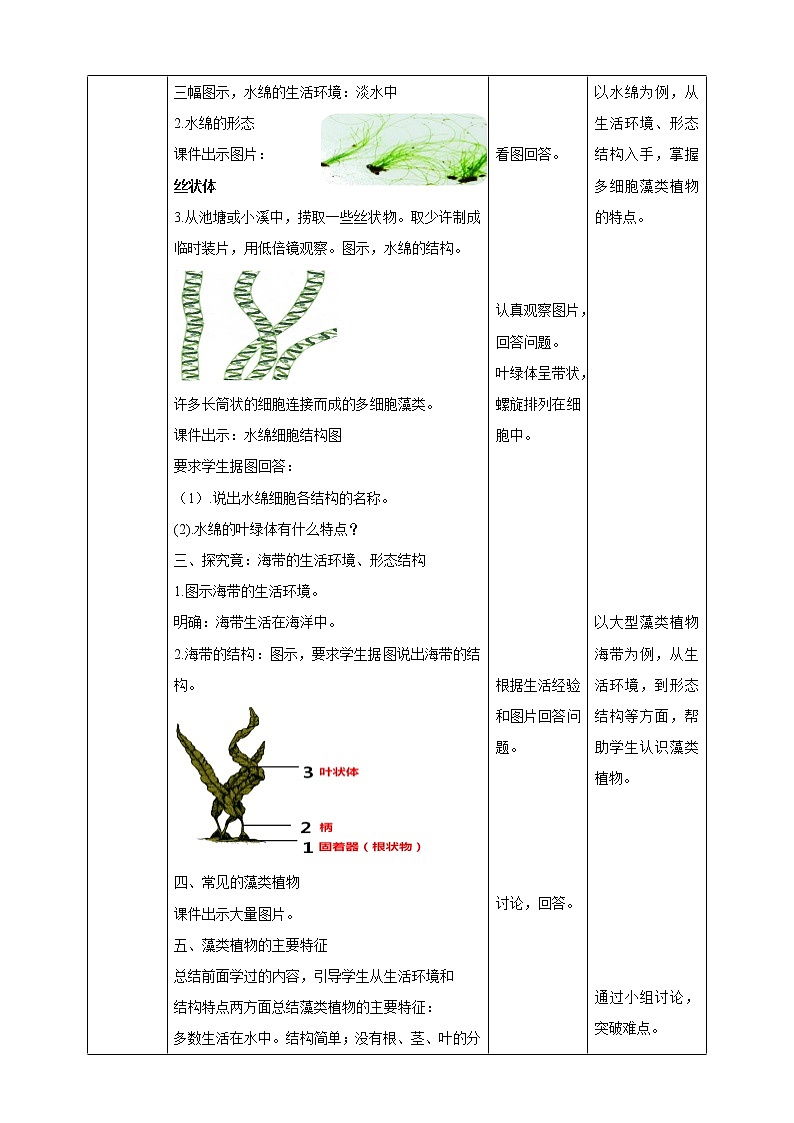 冀教版生物七上3.3 藻类植物 课件+教案+练习02