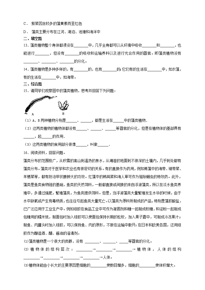 冀教版生物七上3.3 藻类植物 课件+教案+练习03