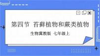 冀少版七年级上册第一单元  我们身边的生命世界第三章  形形色色的植物第四节 苔藓植物与蕨类植物优秀ppt课件