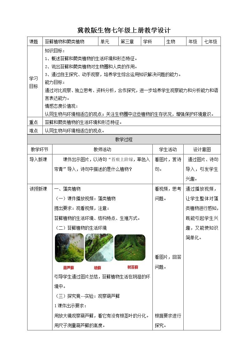冀教版生物七上3.4 苔藓植物和蕨类植物 课件+教案+练习01
