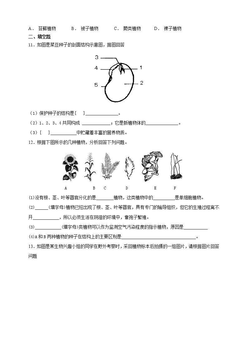 冀教版生物七上3.6被子植物第1课时 课件+教案+练习02