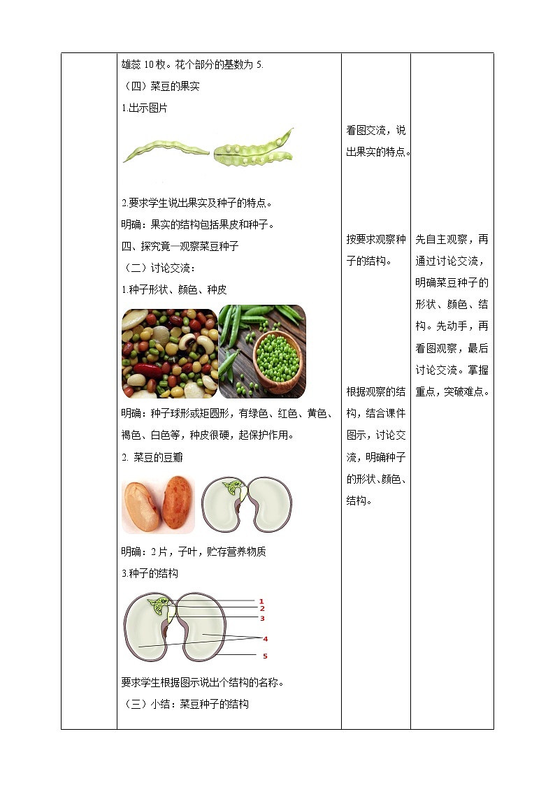 冀教版生物七上3.6被子植物第1课时 课件+教案+练习03