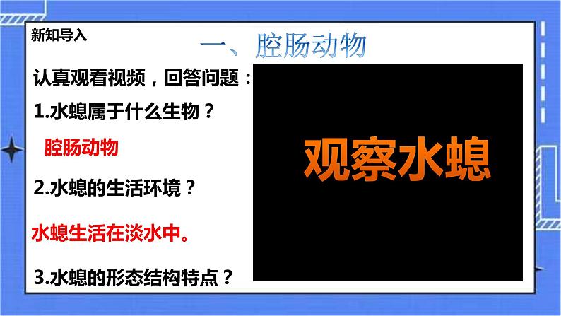 冀教版生物七上4.2腔肠动物和扁形动物 课件+教案+练习+素材02