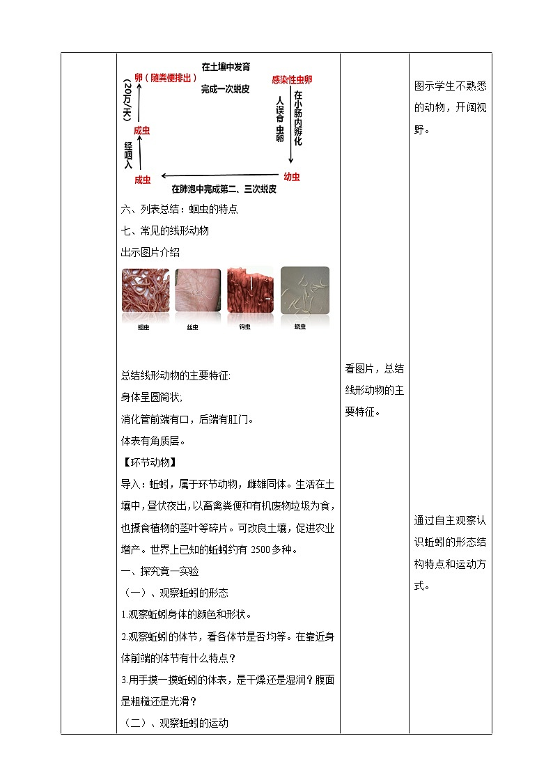 冀教版生物七上4.3线形动物和环节动物  课件+教案+练习03
